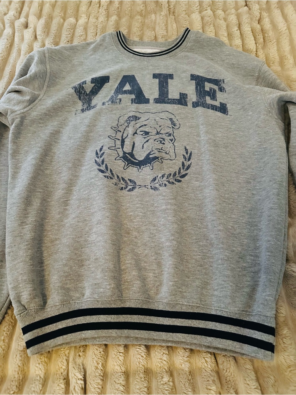 Grey Crewneck Sweatshirt with Bulldog Graphic